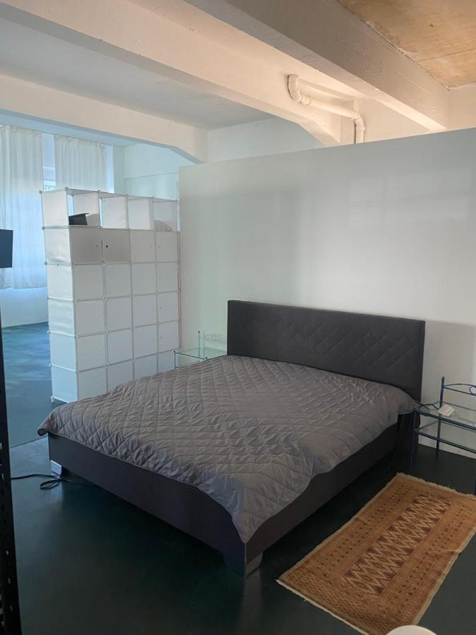 דירות דרזדן Big One Event Loft Gastro Kitchen, 200Qm, Up To 8 Beds מראה חיצוני תמונה