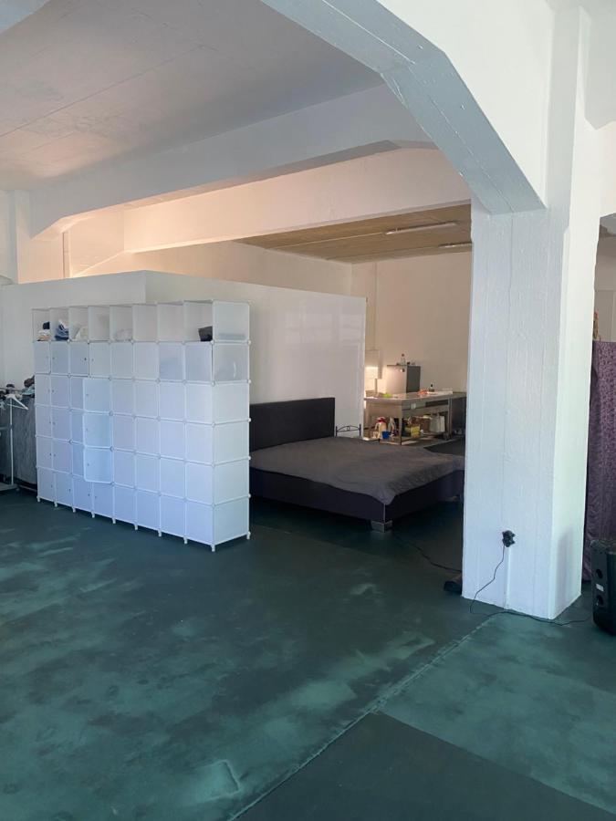 דירות דרזדן Big One Event Loft Gastro Kitchen, 200Qm, Up To 8 Beds מראה חיצוני תמונה